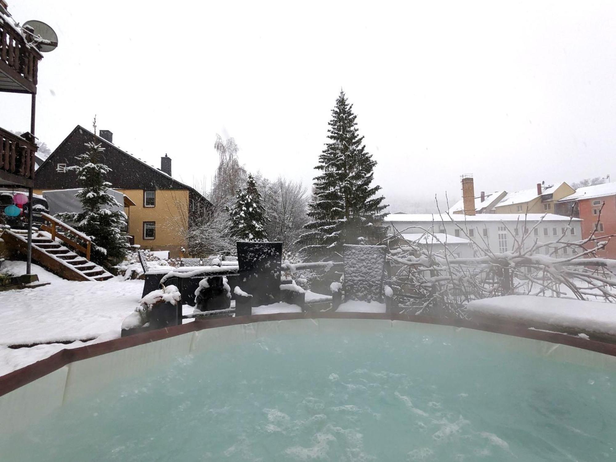 F3 Urlaubsmagie - Pool, Garten & Terrasse - 4P Sebnitz Exterior foto