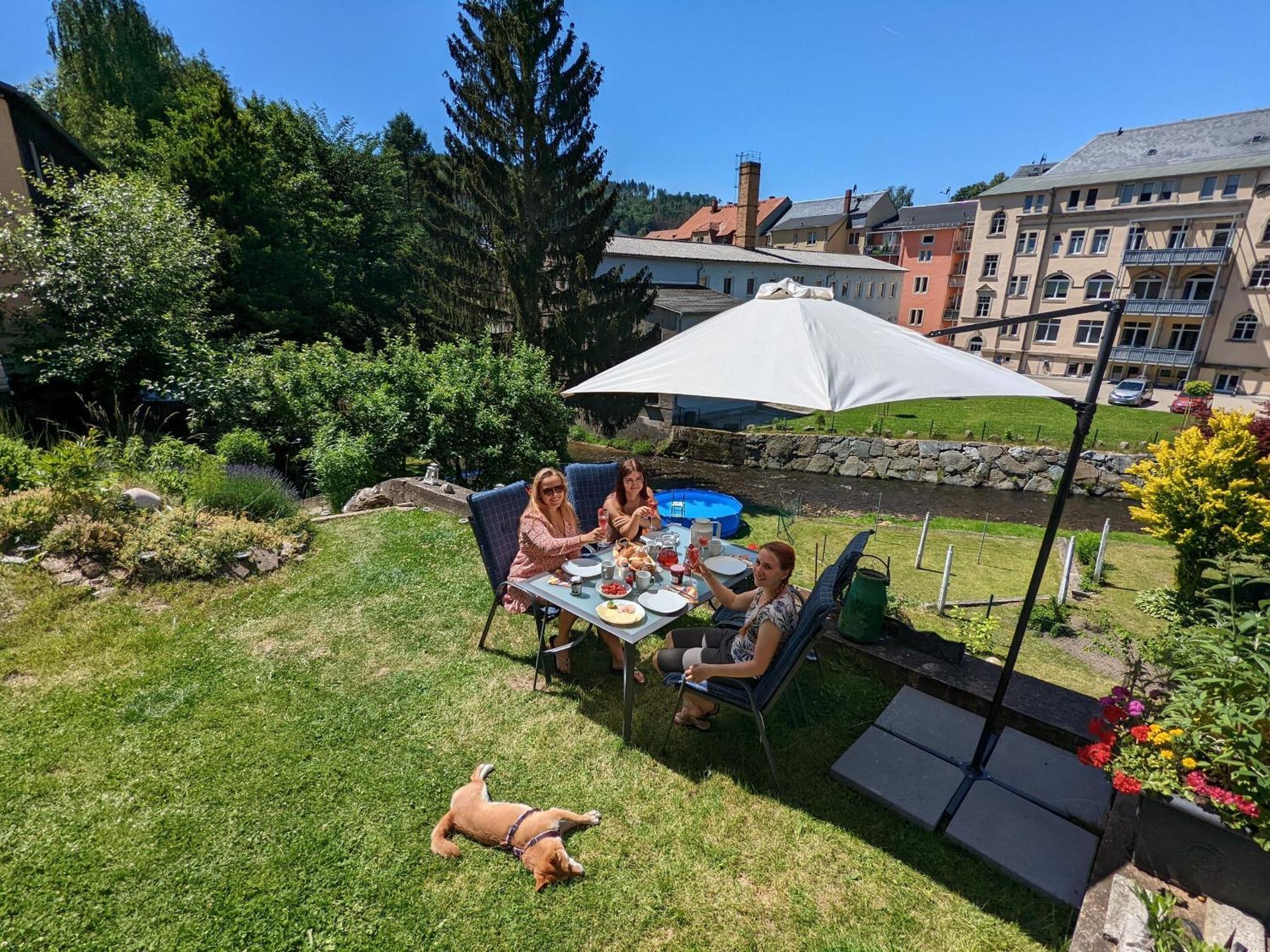 F3 Urlaubsmagie - Pool, Garten & Terrasse - 4P Sebnitz Exterior foto