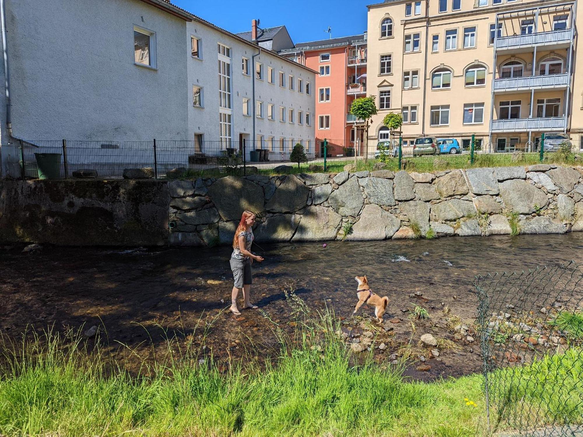F3 Urlaubsmagie - Pool, Garten & Terrasse - 4P Sebnitz Exterior foto
