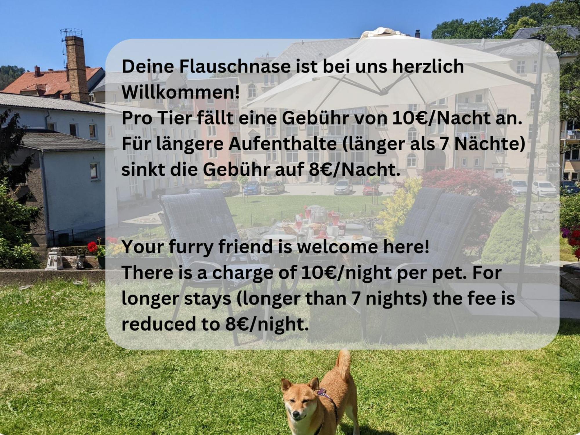 F3 Urlaubsmagie - Pool, Garten & Terrasse - 4P Sebnitz Exterior foto
